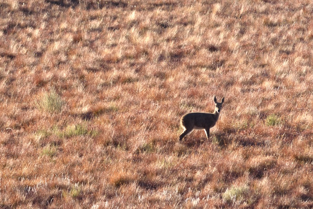 alt="patience gets landscape photographer the subject of the photograph"