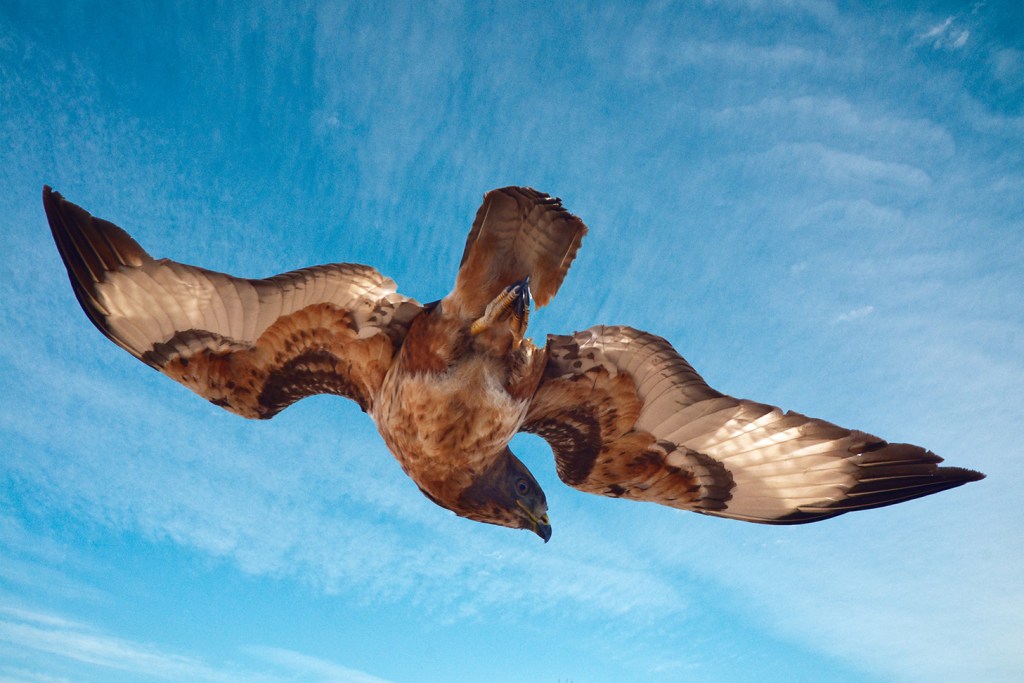 alt="keep it simple stupid composition landscape photography"