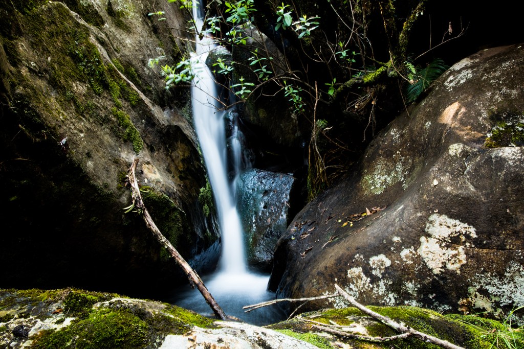 alt="frame your subject for best photography composition"