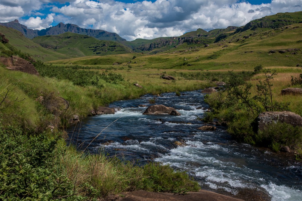 alt="look for shapes and curves in photographic image composition"