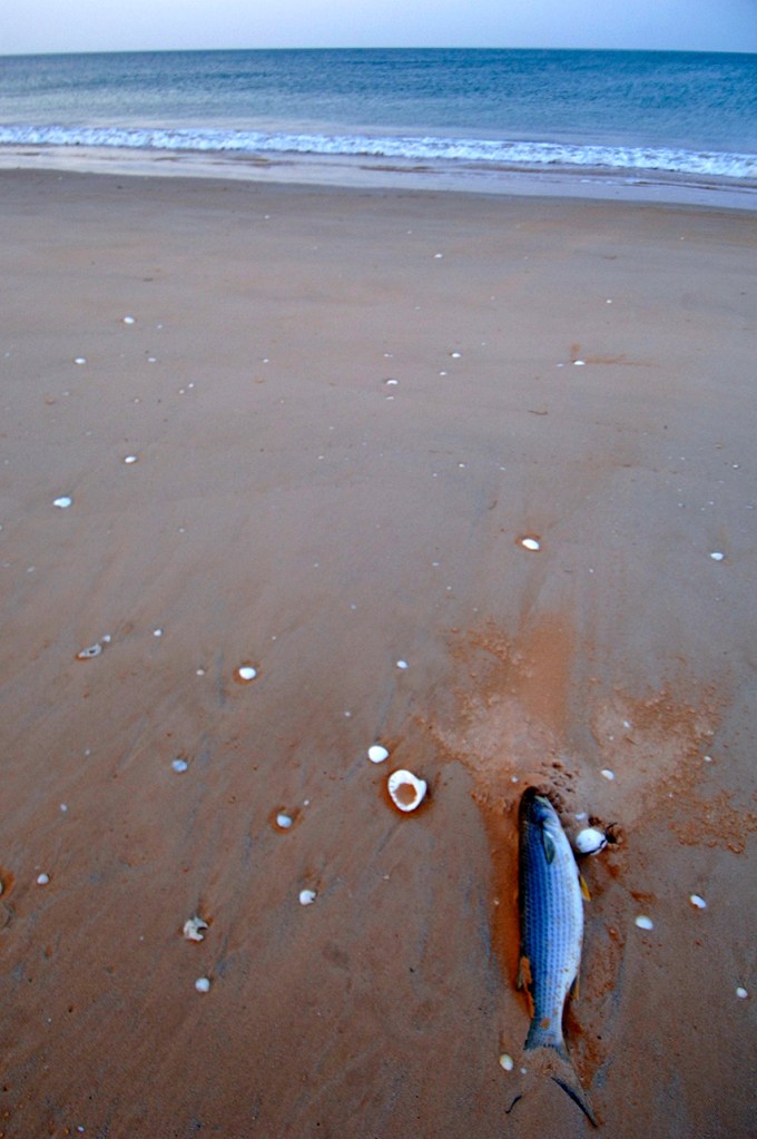 alt="distortion of wide angle lens"