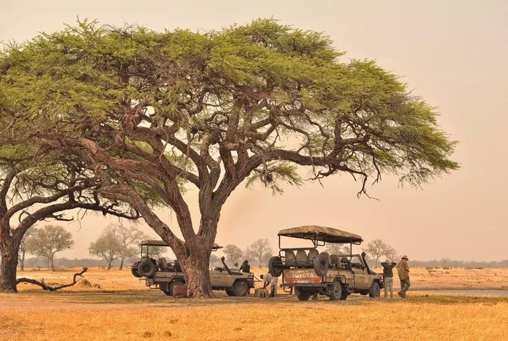alt="On Safari in the African bush"