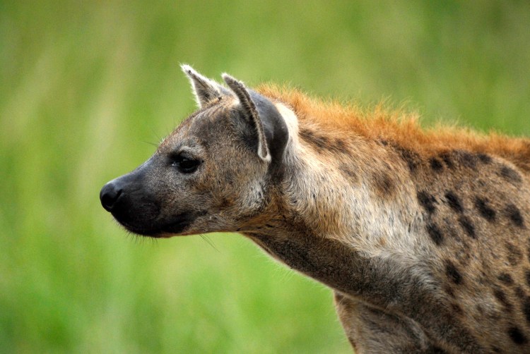 alt="landscape photography contrast composition blog tutorial"