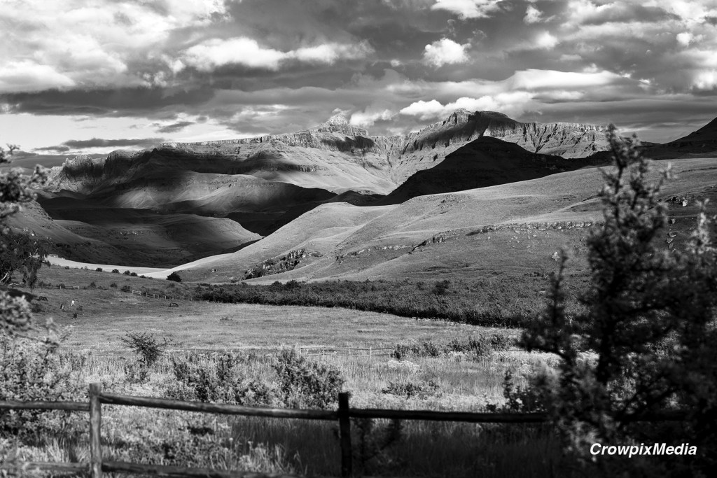 Seek out your unique and original vision with black and white photography. Photo by Crowpix Media.