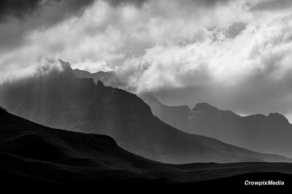 Use the full range of tones for a pleasing creative effect when shooting black and white nature images. Photo by Crowpix Media.