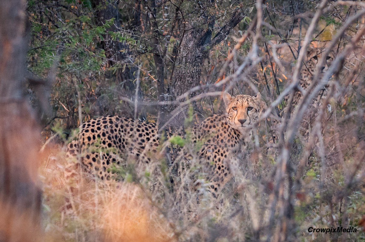 6 Good Reasons Why Conservation Photography is an Important&nbsp;Quest