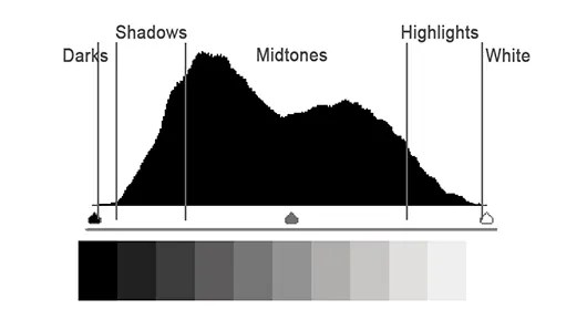 histogram exposure