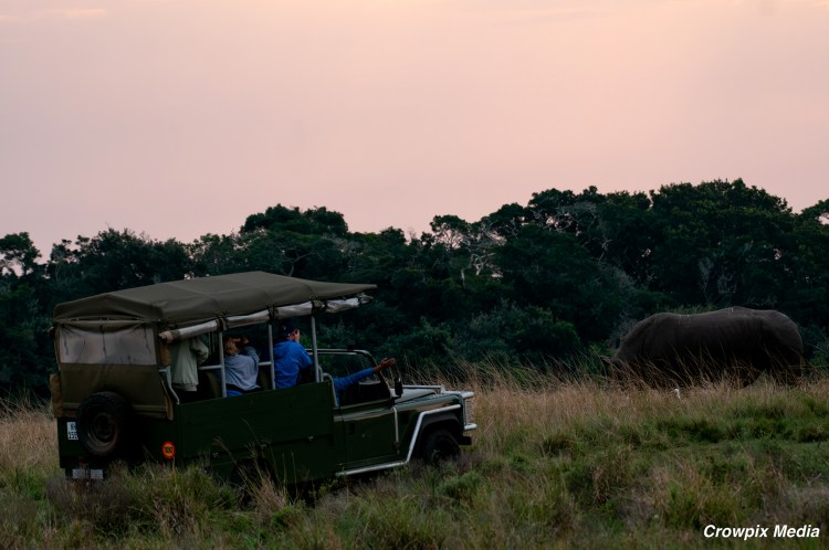 alt="big 5 animals South Africa wildlife guide safari guide vehicle"