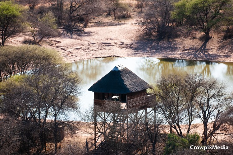 alt="big 5 animals safari South Africa hide next to water"